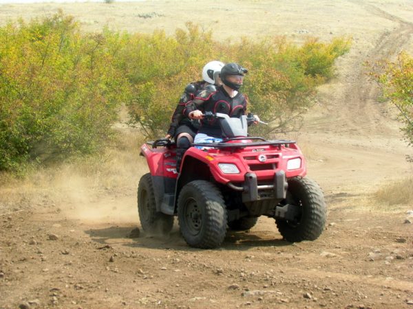 GODZILA Jeep Safari - Image 3