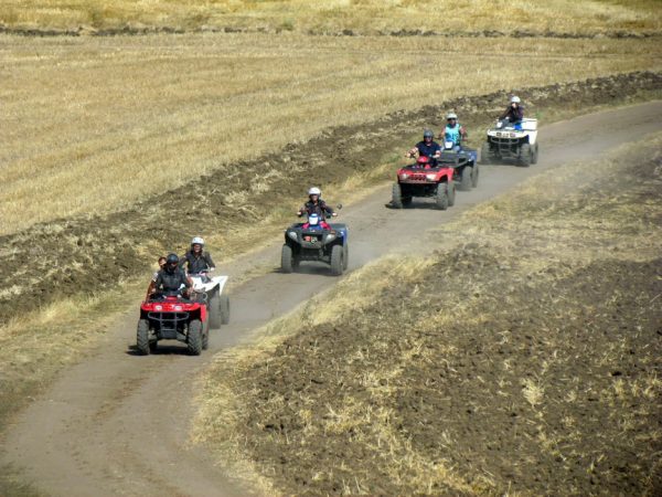 GODZILA Jeep Safari - Image 4