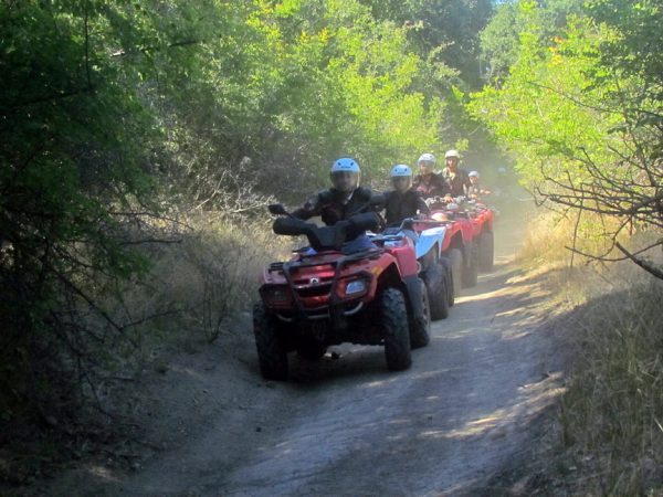 GODZILA Jeep Safari - Image 5