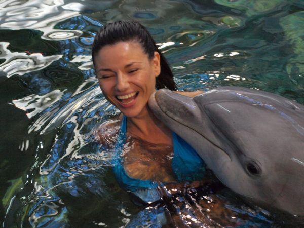 Dolphinarium in Varna - Image 4