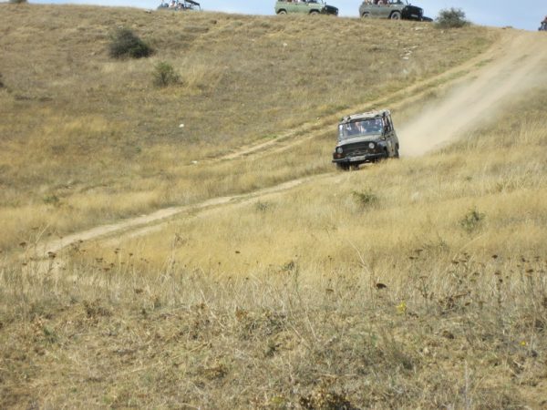 The Different Safari - Image 2