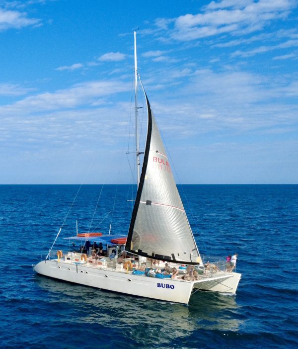 Catamaran Bubo – Morning & Afternoon Sea Picnic - Image 11