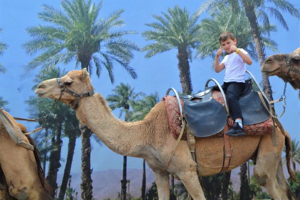 Camel Park Sunny Beach - Image 3