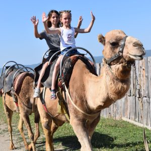 Camel Park Sunny Beach