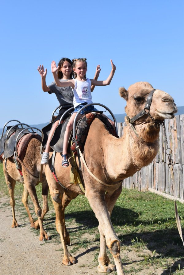 Camel Park Sunny Beach