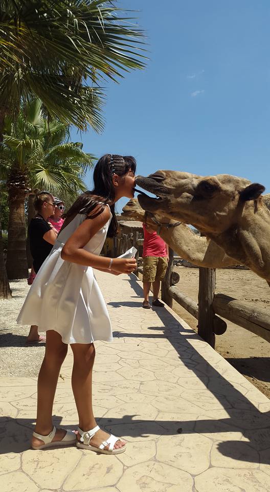 Camel Park Sunny Beach - Image 4