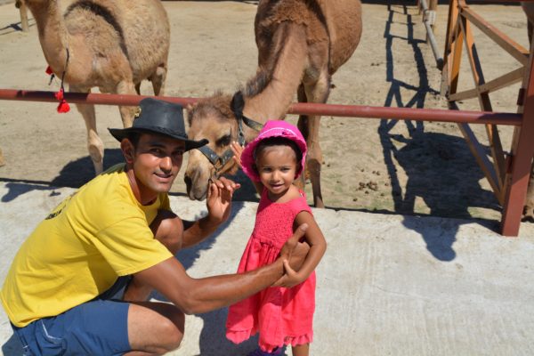 Camel Park Sunny Beach - Image 2