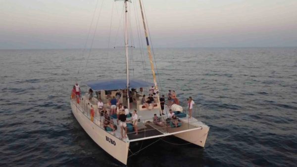 Catamaran Bubo – Morning & Afternoon Sea Picnic - Image 7