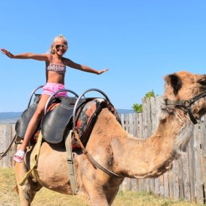 Traveller photo