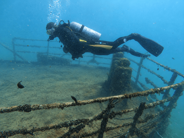 🤿 Scuba Diving in Nessebar – Beginner, Certified or Wreck Diving - Image 4