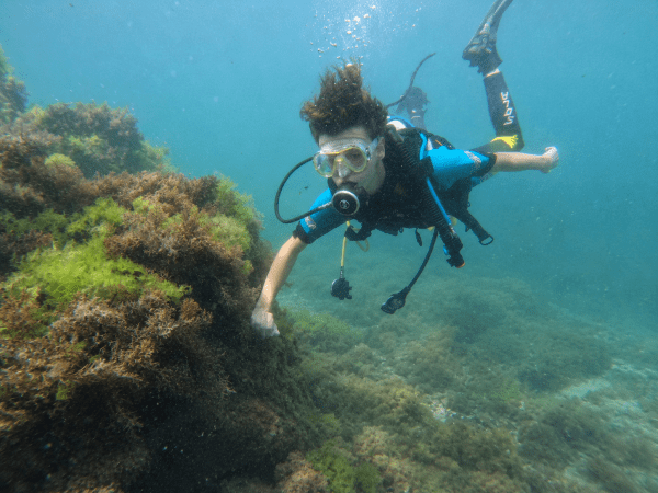 🤿 Scuba Diving in Nessebar – Beginner, Certified or Wreck Diving - Image 5